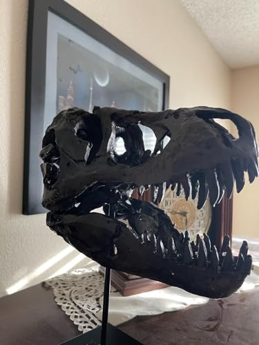 JOTNBOBO Dinosaurier-Schädel-Statue, Dinosaurier-Skulpturen Halterung Tyrannosaurus Schädel Replik Dekoration Schädel Knochen Harz Replik mit Halterung für Home Office Decor Regal Display