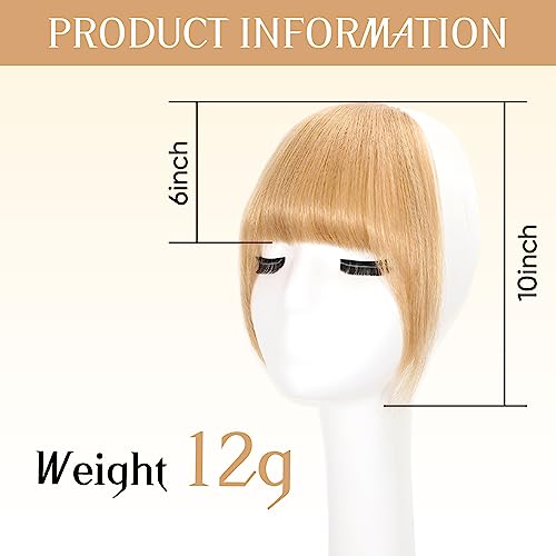 Ebenk 100% Human Hair Bangs - 12G Clip In Wispy Bangs With Temples, Faux Bangs Hair Clip, Easy Hair Extensions,French Bangs, Clip On Bangs Curved Bangs For Daily Wear-Ash Blonde #TOP5