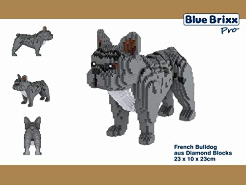 BlueBrixx-Pro 102820 - French Bulldog, Hund aus Klemmbausteinen mit 2342 Bauelementen. Lieferung in Originalverpackung. – Bild 4