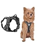Onetigris Dog Harness & Lead, Small Dog No Pull, Heavy Duty, Soft Padded, Reflective, Adjustable, Easy Control Handle, Training, Black, XS - Image 1