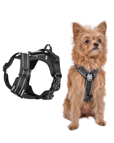 Onetigris Dog Harness & Lead, Small Dog No Pull, Heavy Duty, Soft Padded, Reflective, Adjustable, Easy Control Handle, Training, Black, XS