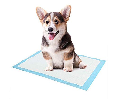 Pet Training Pee and Potty Pads with Quick Drying Surface and Absorbent Core/Suitable for Small/Large Breed Puppies/Pets-1 Pack of 10 pad (60 X 90 cm) Pack of 3 (B08ZCV6XXB) Amazon Price History, Amazon Price Tracker