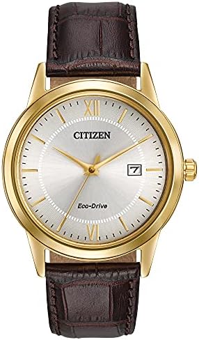 Citizen Clásico de piel 3 manecillas