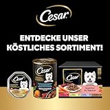 Cesar Natural Goodness Premium Hunde Nassfutter in der Schale Getreidefrei mit Superfoods in 4 Varietäten Megapack 24x100g