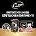 Cesar Natural Goodness Premium Hunde Nassfutter in der Schale Getreidefrei mit Superfoods in 4 Varietäten Megapack 24x100g