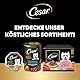 Cesar Natural Goodness Premium Hunde Nassfutter in der Schale Getreidefrei mit Superfoods in 4 Varietäten Megapack 24x100g