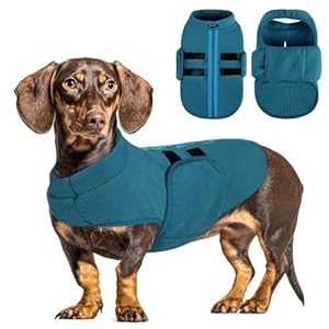 Queenmore Small Dog Sweaters, Soft Fleece Vest Pullover Dog Jacket with Leash Hole, Warm Winter Dog Clothes Cold Weather Doggy Dachshund Sweater for Small Dogs Cats Boy or Girl (Peacock-Blue, XS)