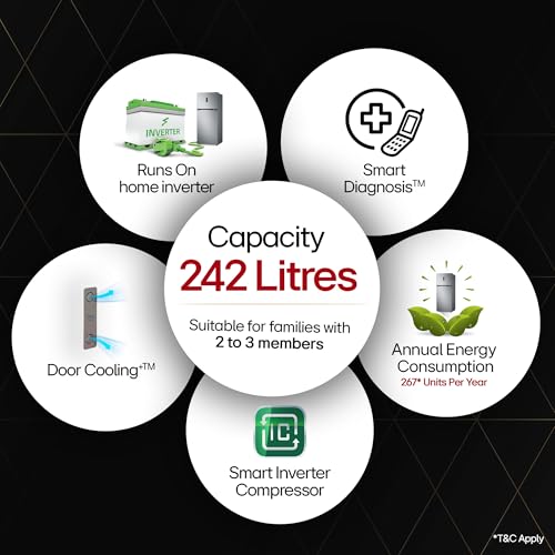 Image of LG 242 L 2 Star Frost Free Smart Inverter Double Door Refrigerator (GL-I292RPZY, Shiny Steel, Door Cooling +)