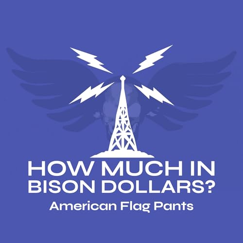 American Flag Pants