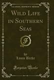 Wild Life in Southern Seas (Classic Reprint) (English Edition)