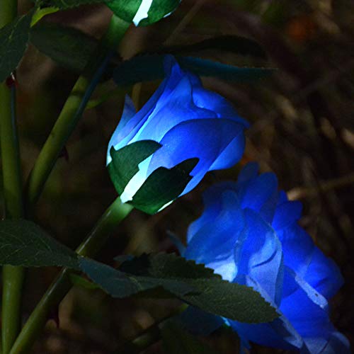 Illuminate Your Garden: A Review of the Stunning Solar-Powered Blue Rose Stake Lights
