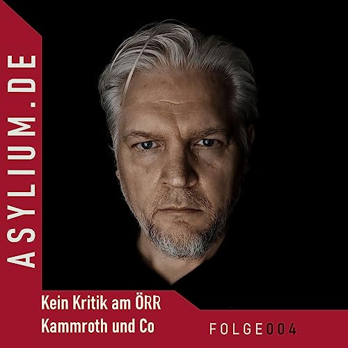 Folge 004 Meinungs-Podcast - Wenn Kritik am OERR immer wieder verpufft
