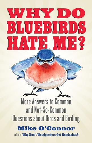 Why Do Bluebirds Hate Me?: More Answers to Common and