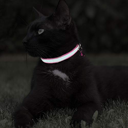 TagME Reflektierend Katzenhalsband mit Glöckchen und Sicherheitsverschluss, Personalisiert ID Namen, Verstellbar Halsband Katze Kitten, 1 STÜCK, Pink
