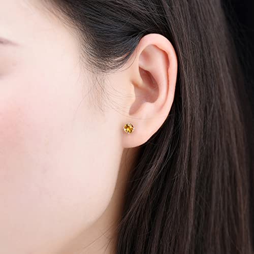 Zhencai Women Stud Earrings Solid 925 Sterling Silver Setting Round Cut 5Mm Natural Gemstone Birthstone Earring Rhodium Plated Classic Style Fine Jewelry For Birthday Valentines (Natural Citrine) #TOP1