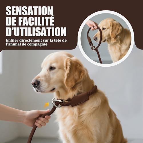 Hundeleine mit Zugstopp & Halsband, 150 cm Trainingsleine aus robustem Nylonseil, Slip Lead Leine mit Ledergriff & Metallringen, verstellbar für Mittelgroße & Große Hunde - Dunkelbraun