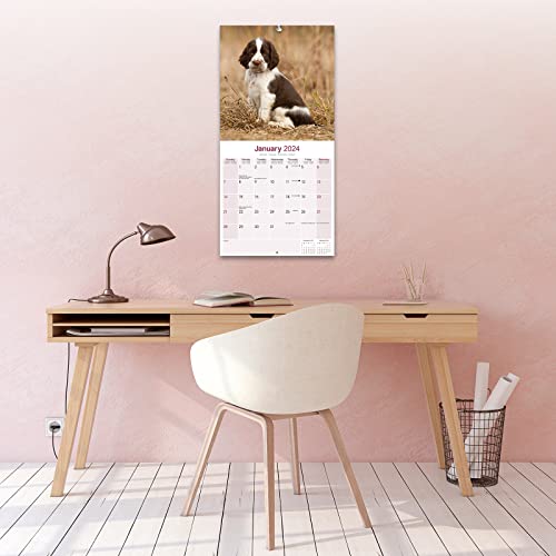Eng Springer Spaniel (Euro) Calendar 2024 - Image 4