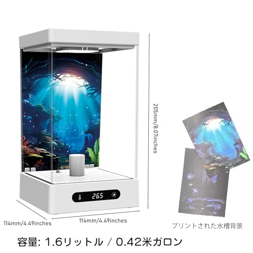 Sheawasy 小型ベタ水槽 1.6L XMYG-1111 の商品画像 7