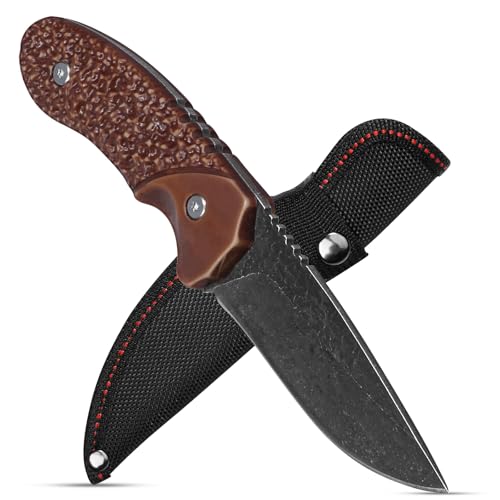 Fixed Blade EDC Knife with Sheath: Full Tang Outdoor Knife for Hunting - Small Tactical and Survival Knives for Men (21CM Total Length, 9.5CM Blade)