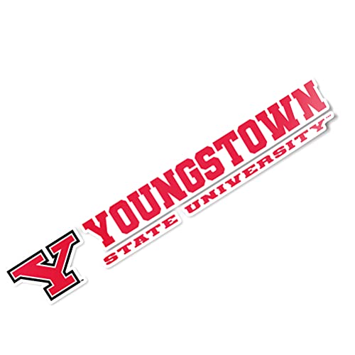 Desert Cactus Youngstown State University Sticker YSU Penguins Name Logo Vinyl Decal Laptop Water Bottle Car Scrapbook (8 Inch Sticker)
