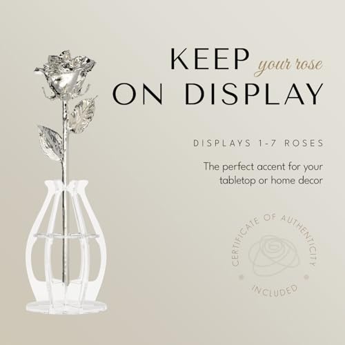 Image of Forever Rose Real Rose Dipped in Silver, Bloom Box and Phantom Vase