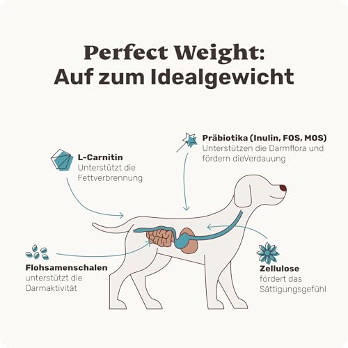 11-in-1 L-Carnitin & Cellulose Snack - Gewichtsmanagement für Hunde - Perfect Weight 270 Snacks (325g) von mammaly - Diätfutter kann beim Abnehmen Hund helfen - Futterzellulose zur Gewichtskontrolle