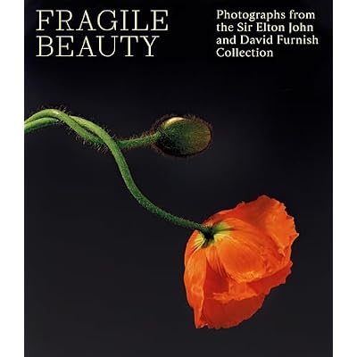 Fragile Beauty