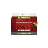 MY VILLAGE - Materiale decrativo muschio lichene rosso Cod. MYD33