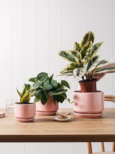 LE TAUCI Ceramiczne Doniczki do Roślin, 10,5+13+17 cm Doniczki do Roślin, Zestaw 3 Szt., Donice z Otworem Odpływowym i Podstawką, Doniczki do Wnętrz z Siatką Drenażową, Prezent dla Mamy, Różowy