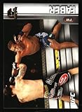 Urijah Faber 2015 Topps UFC Champions #181 MMA Trading Card