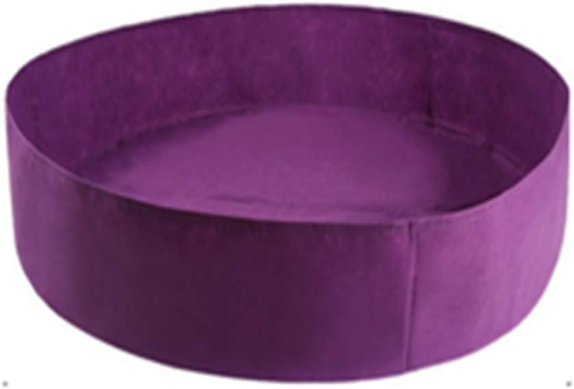 aglio da piantare in giardino