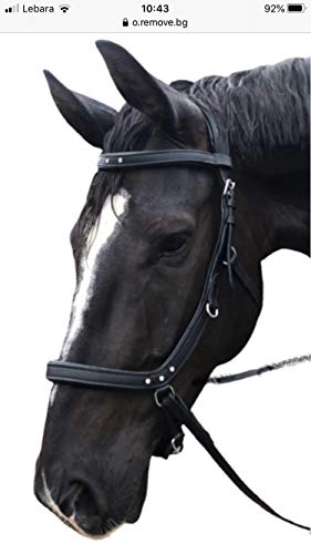 Anatomical Multi Bridle Headpiece, Full/Large, Black & Brown