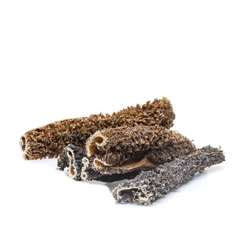 Büffelpansen Getrocknet – 500g, In 12cm Stücken, Natürlicher Hundesnack Von George And Bobs