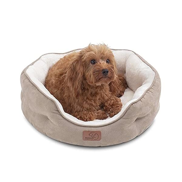 Round Pet Bed for Puppy and Kitten