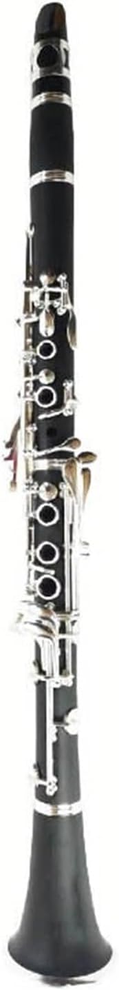 Treble B flat clarinet instrument beginner clarinet