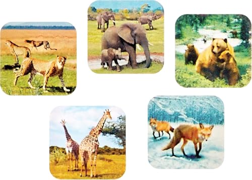 WARM FUZZY Toys 3D Viewfinder (Zoo Animals) - Viewfinder for Kids & Adults, Slide Viewer, 3D Reel Viewer, Classic, Retro and Vintage Toys with 3 Reels - Contains 21 High Definition 3D Images by WARM FUZZY - Image 2