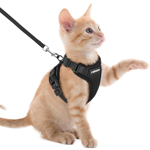 rabbitgoo Arnes para Gatos Antiescape con Correa 150cm, Arnes Gato Ajustable Reflectante, Chaleco de Tela de Malla Suave y Transpirable, Arnés Gato Pequeño para Caminar Entrenar, XXS, Negro