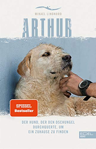 Arthur: Der Hund, der den Dschungel durchquerte