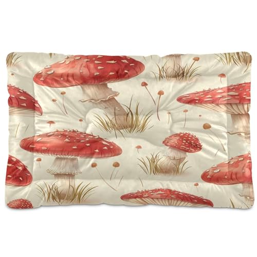 Coikll Mushroom （2） Pet Bed Pad Soft Dog Bed Mat with Anti-Slip Bottom, Machine Washable Crate Pad Mattress for Dog Sleeping- 24 * 18 inches