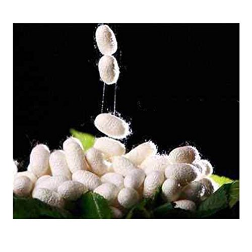 Lilith Li From China Diy Recommended Commonly Used Manual Embroidery Woven Jewelry Silk Threads (14.50 Color -2) #TOP5
