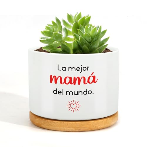 RRIGETEN Presente de Natal mãe presente mãe presente de aniversário mãe presente para mãe presente mãe aniversário presentes mãe vasos decorativos interior presentes dia da mãe