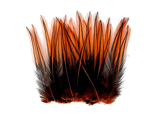 10 Pieces - Orange Laced 4-7" Long Rooster Cape Feathers Fly Tying Whiting Blw Rooster Saddle | Moonlight Feather #TOP1