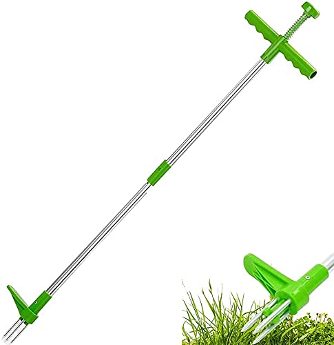 Gardtech Unkrautstecher Mit Langem Griff - 4-Klauen Design Für Rückenschonendes Jäten