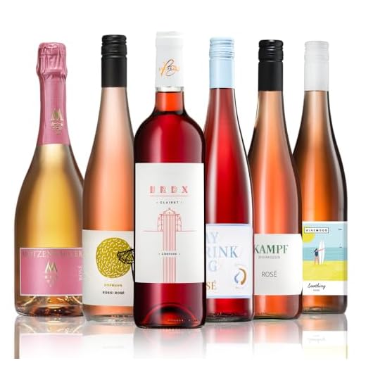 GEILE WEINE Weinpaket ROSE (6 x 0,75) Roséwein trocken im Probierpaket von Qualitätswinzern aus Deutschland
