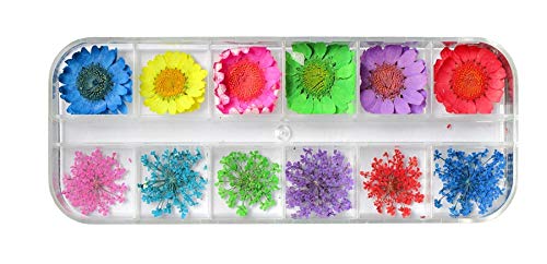 RD-33304 Decor Rhinestone 1 Box Dried Flower Nail Art Decoration
