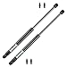 2Pcs 6228 Gas Charged Front Hood Lift Supports Struts Shocks Springs Props Compatible with Lexus GX470 / Toyota 4Runner 2003 2004 2005 2006 2007 2008 2009