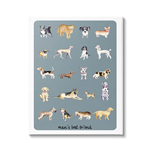 Stupell Industries Man's Best Friend Dog Breeds Canvas Wall Art, Design by Andi Metz