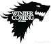 Game of Thrones House Baratheon Stark vinyl Sticker decal HBO Winter is Coming (5.5" inch)