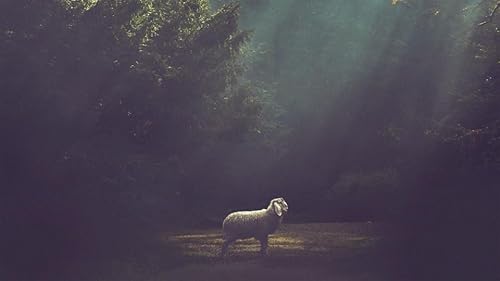 The Christian Who Cried Wolf