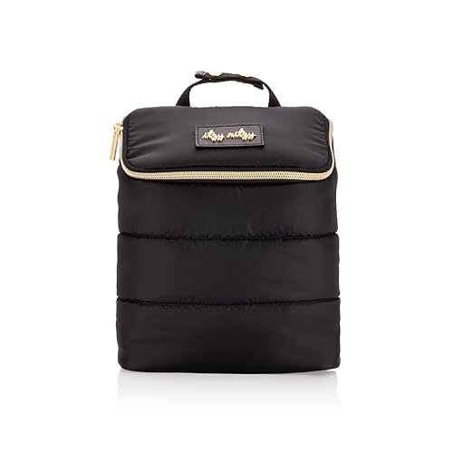 Itzy Ritzy Bolsa aislada para botellas, mantiene las botellas calientes o frescas, capacidad para 3 botellas y cuenta con bolsillo interior para